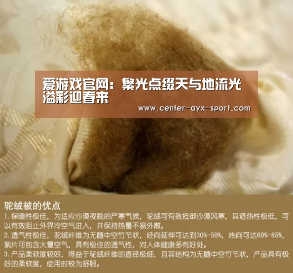 爱游戏官网:繁光点缀天与地流光溢彩迎春来(图3) 爱游戏官网