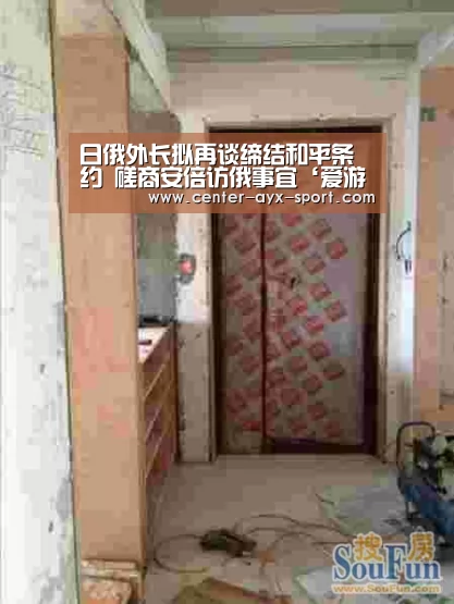日俄外长拟再谈缔结和平条约 磋商安倍访俄事宜‘爱游戏’(图2) 爱游戏体育