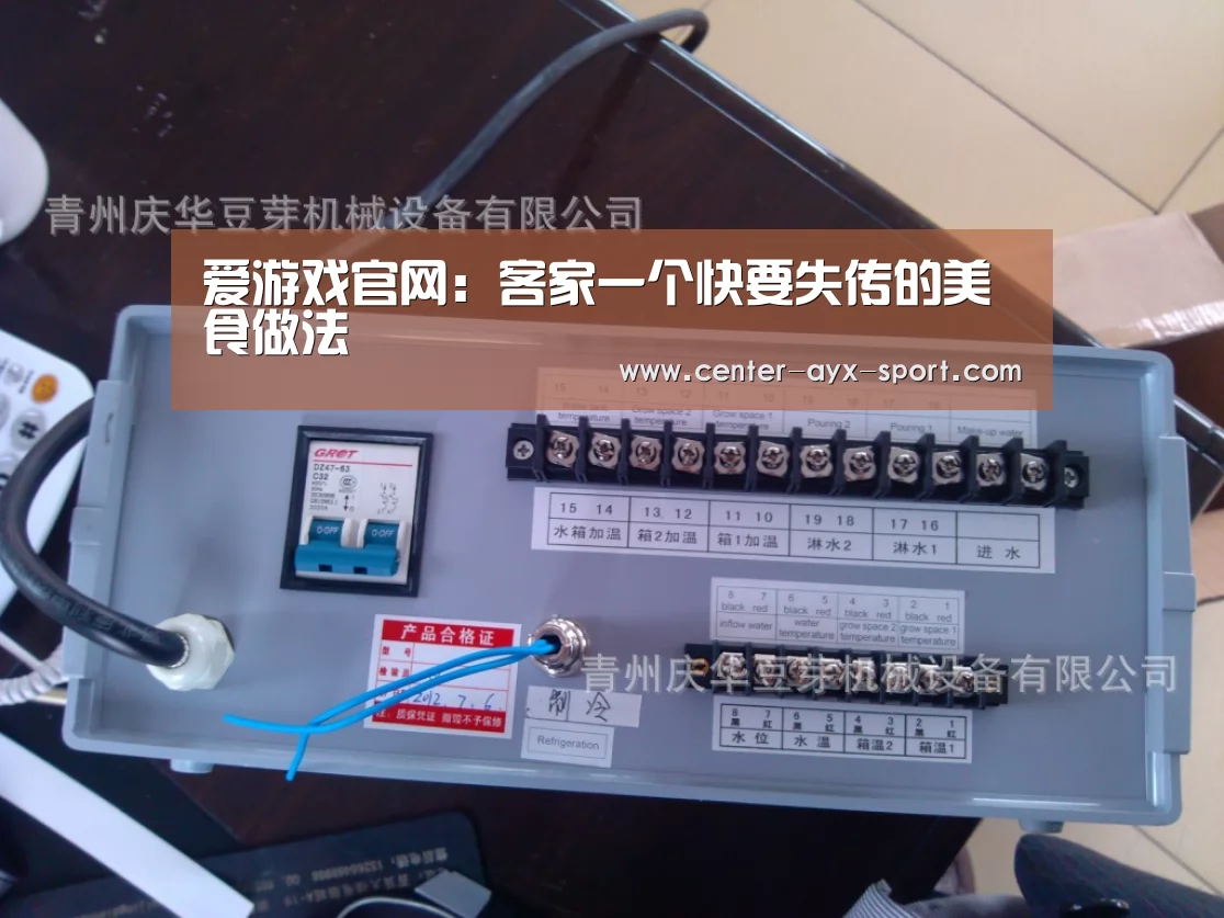 爱游戏官网:客家一个快要失传的美食做法(图2) 爱游戏首页