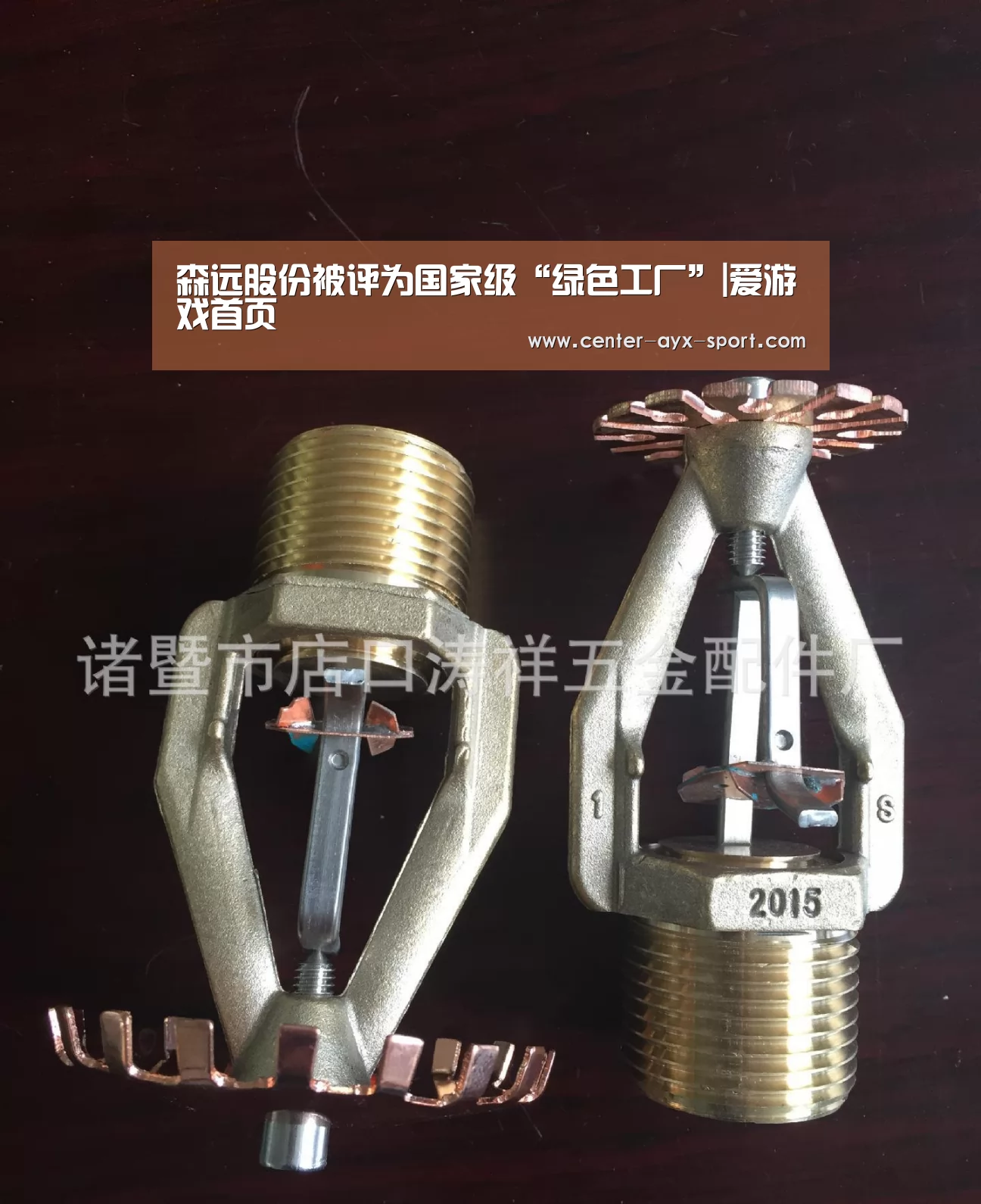 森远股份被评为国家级“绿色工厂”|爱游戏首页(图1) 爱游戏