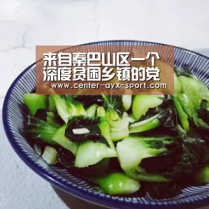 来自秦巴山区一个深度贫困乡镇的党建报告_时事政治_中公教育网-爱游戏(图1) 爱游戏体育