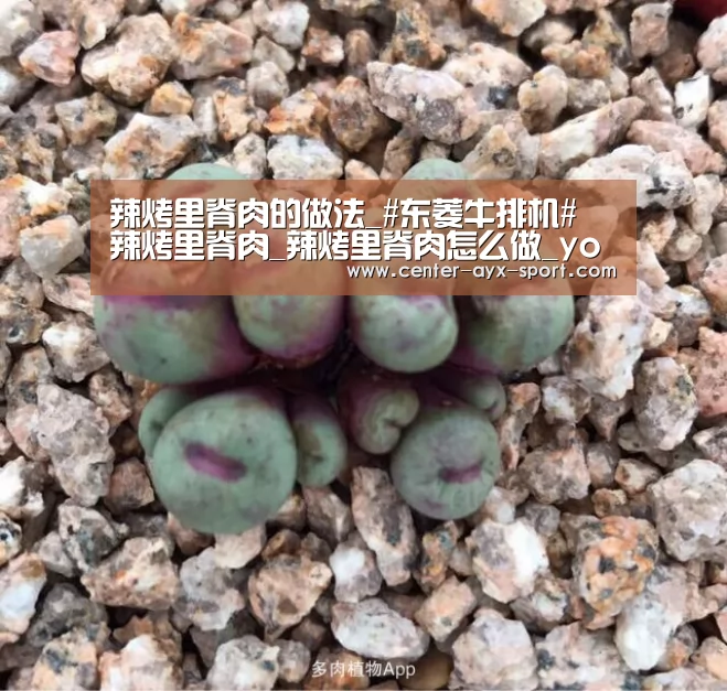 辣烤里脊肉的做法_#东菱牛排机# 辣烤里脊肉_辣烤里脊肉怎么做_yoyo原色的菜谱-爱游戏(图1) 爱游戏