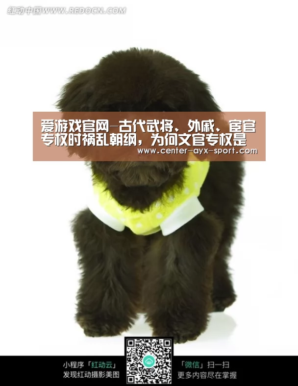 爱游戏官网-古代武将、外戚、宦官专权时祸乱朝纲,为何文官专权是政治清明?(图1) 爱游戏