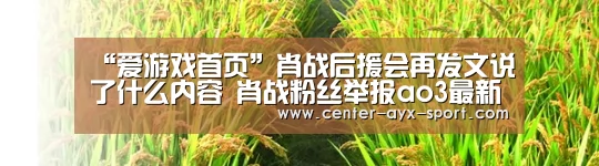 爱游戏官网