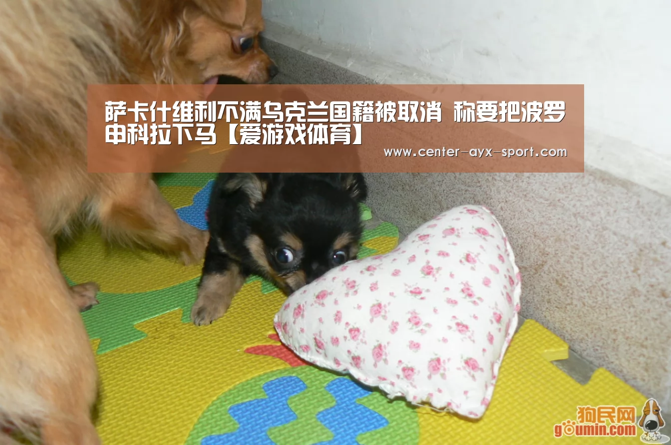 萨卡什维利不满乌克兰国籍被取消 称要把波罗申科拉下马【爱游戏体育】(图1) 爱游戏首页