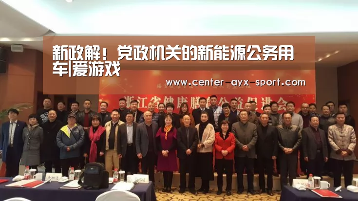 新政解!党政机关的新能源公务用车|爱游戏(图2) 爱游戏